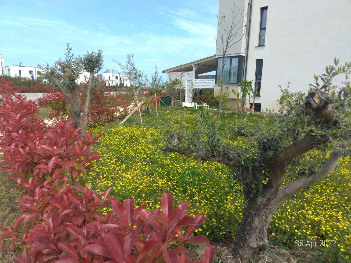Welcome Beach Apartment Hamallaj Luaran gambar